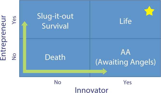 Entrepreneur vs Innovator chart graphic