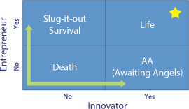 Entrepreneur vs Innovator chart graphic